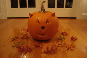 Carved pumpkin cat