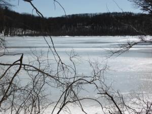 A lovely vista one might find on a trail.